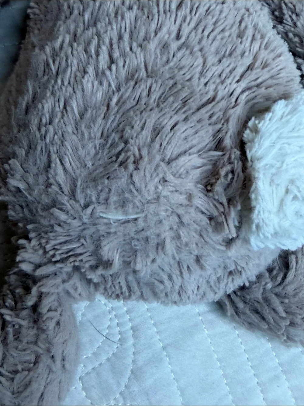Jellycat no tag